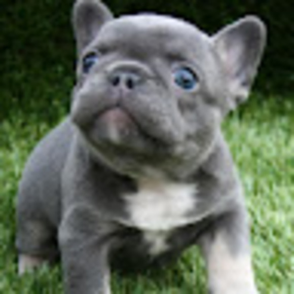 Meet your Posher, Haley - Picture 1 of 1